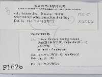 登錄號:F0001626藏品圖，第2張