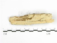 登錄號:F0001626藏品圖，第3張