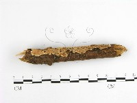 登錄號:F0001627藏品圖，第1張