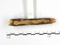 登錄號:F0001627藏品圖，第3張