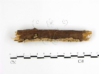 登錄號:F0001627藏品圖，第4張