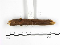 登錄號:F0001627藏品圖，第5張