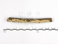 登錄號:F0001629藏品圖，第3張