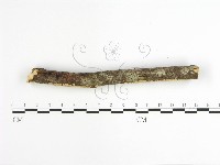 登錄號:F0001629藏品圖，第4張