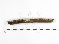 登錄號:F0001629藏品圖，第5張