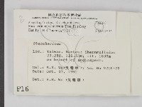 登錄號:F0001631藏品圖，第2張