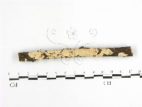 登錄號:F0001631藏品圖，第1張