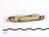 登錄號:F0001633藏品圖，第1張