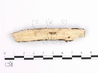 登錄號:F0001633藏品圖，第3張