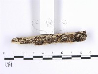 登錄號:F0001633藏品圖，第4張