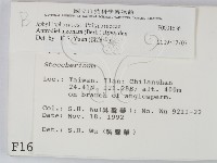 登錄號:F0001636藏品圖，第2張