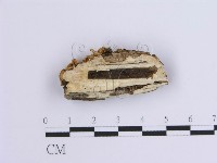 登錄號:F0001636藏品圖，第4張