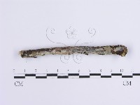 登錄號:F0001637藏品圖，第3張