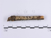 登錄號:F0001639藏品圖，第1張