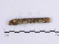 登錄號:F0001639藏品圖，第3張