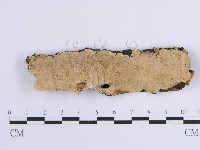 登錄號:F0001640藏品圖，第1張