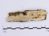 登錄號:F0001640藏品圖，第3張