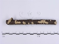 登錄號:F0001641藏品圖，第1張