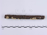 登錄號:F0001641藏品圖，第3張