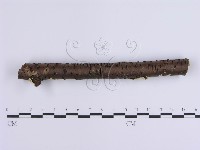 登錄號:F0001641藏品圖，第4張