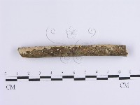 登錄號:F0001643藏品圖，第3張