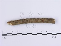登錄號:F0001643藏品圖，第4張
