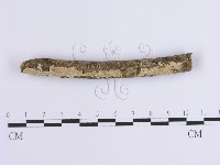 登錄號:F0001643藏品圖，第5張