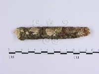 登錄號:F0001644藏品圖，第1張
