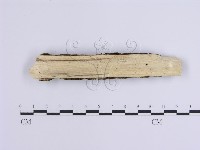 登錄號:F0001644藏品圖，第3張