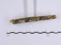 登錄號:F0001644藏品圖，第4張