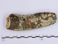 登錄號:F0001645藏品圖，第1張