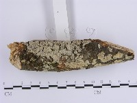 登錄號:F0001645藏品圖，第3張