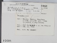 登錄號:F0001646藏品圖，第2張