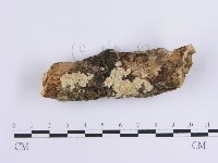 登錄號:F0001646藏品圖，第1張