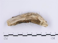 登錄號:F0001646藏品圖，第3張