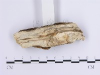 登錄號:F0001646藏品圖，第4張