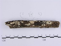 登錄號:F0001647藏品圖，第1張