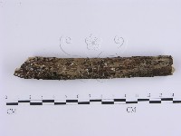 登錄號:F0001647藏品圖，第4張