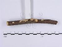 登錄號:F0001648藏品圖，第3張