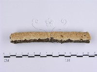 登錄號:F0001649藏品圖，第1張