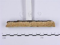 登錄號:F0001649藏品圖，第3張