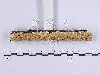 登錄號:F0001649藏品圖，第4張