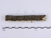 登錄號:F0001649藏品圖，第5張