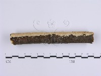 登錄號:F0001649藏品圖，第6張