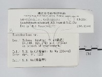 登錄號:F0001651藏品圖，第2張