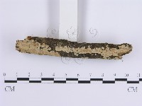 登錄號:F0001651藏品圖，第3張