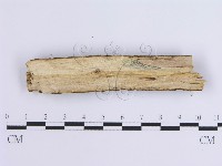 登錄號:F0001651藏品圖，第4張