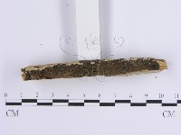 登錄號:F0001651藏品圖，第5張