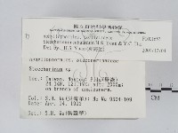 登錄號:F0001653藏品圖，第2張