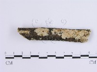 登錄號:F0001653藏品圖，第1張